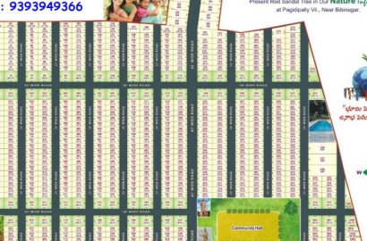 Nature Green Money – Farm plots with Plants near Hyderabad.