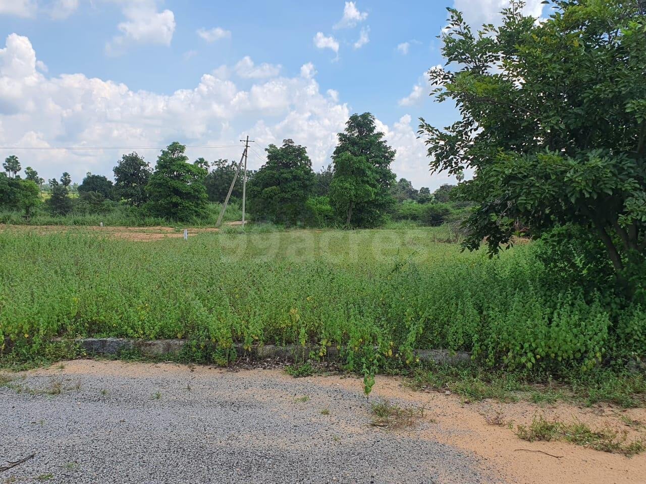 Residential Land in Brahmanapally, Bibinagar, Bibinagar, Hyderabad